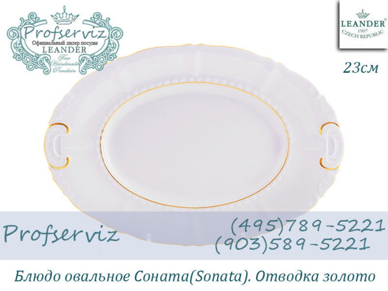 Фото Блюдо овальное 23 см Соната (Sonata), Отводка золото (Чехия) 07116125-1139 
