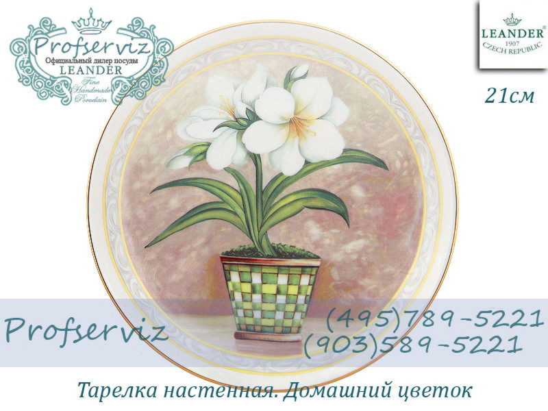 Фото Тарелка настенная 21 см, Домашний цветок (Чехия) 02110141-118A