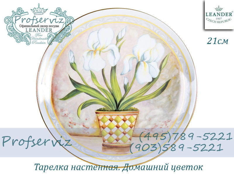 Фото Тарелка настенная 21 см, Домашний цветок (Чехия) 02110141-118B
