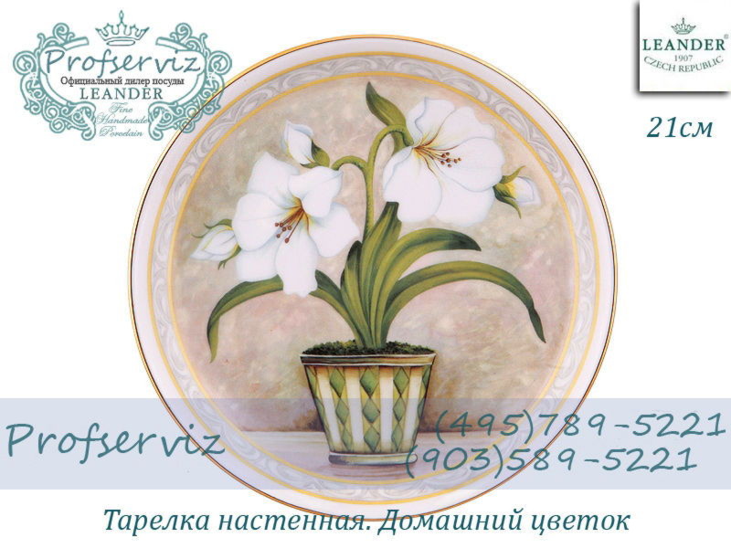 Фото Тарелка настенная 21 см, Домашний цветок (Чехия) 02110141-118C